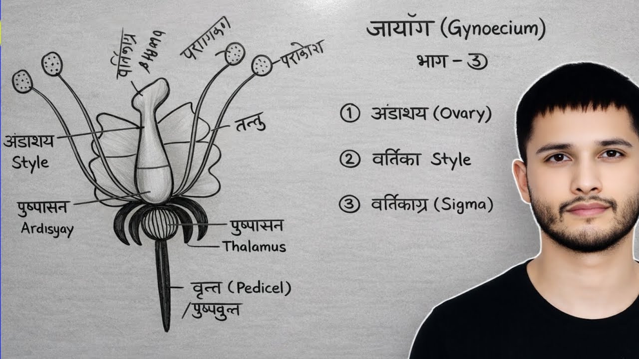99% बच्चे फूल के भाग गलत पढ़ते हैं 😱 | Pushp ke Bhag 🔥 Nar, Mada & Gynandrous Clear |Biology Trick 🌸