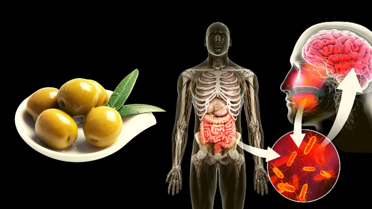 ¿Qué ocurriría en tu cuerpo si comes aceitunas cada día?🤔