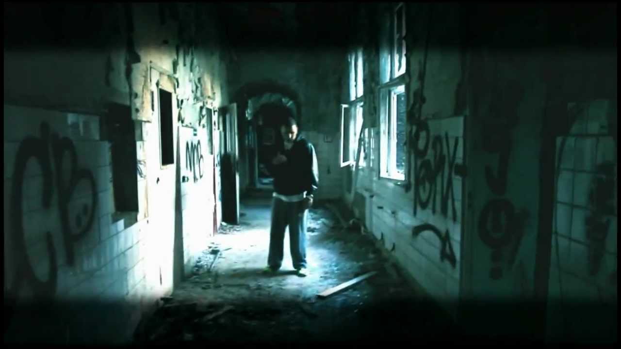 Fler - Schwer erziehbar (2010)