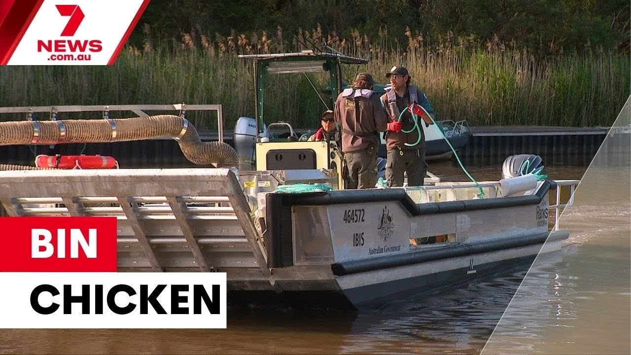 The new mission to clean up the Yarra River | 7NEWS