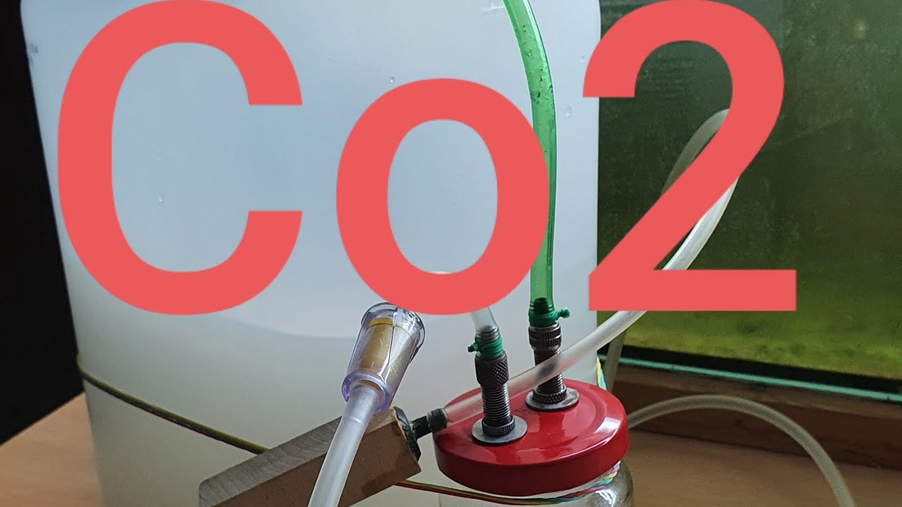 Аквариум Co2 Бюджетный вариант