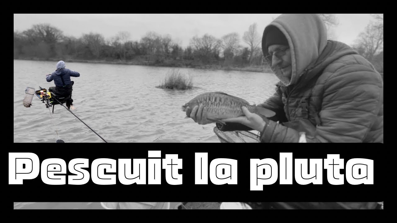 Ciortani la plută în vânt puternic!