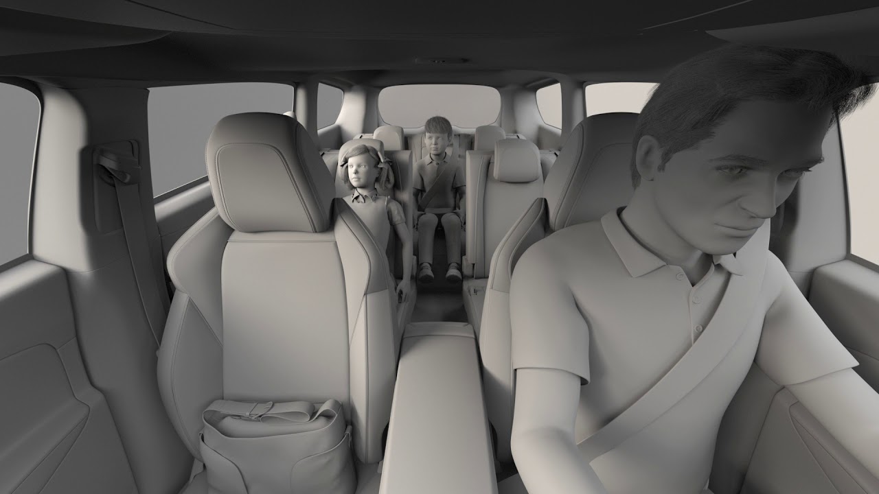 Occupant Monitoring System