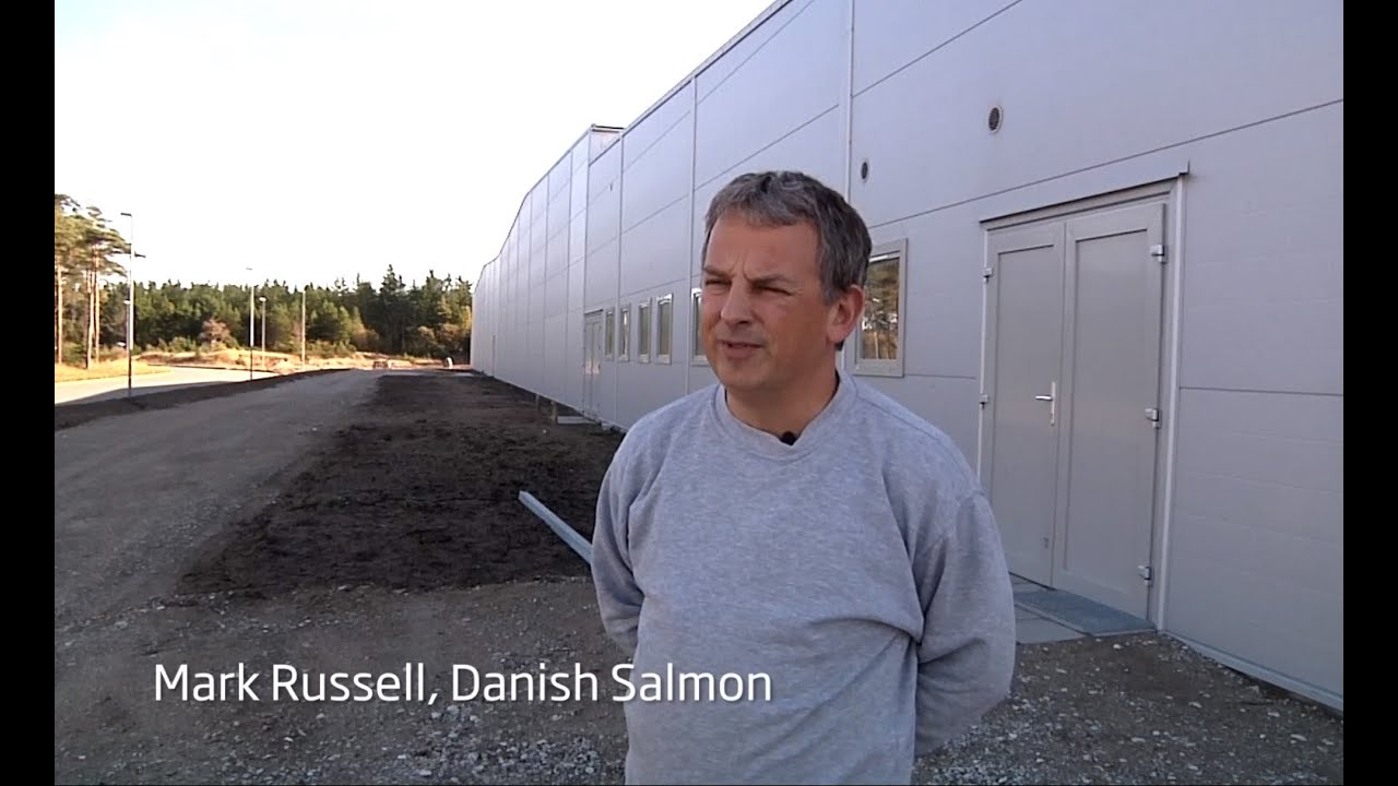 Rethinking fish farming