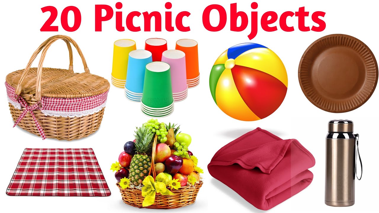 20 बच्चों के लिए पिकनिक वस्तुओं के नाम | Learn Picnic Items in English and Hindi