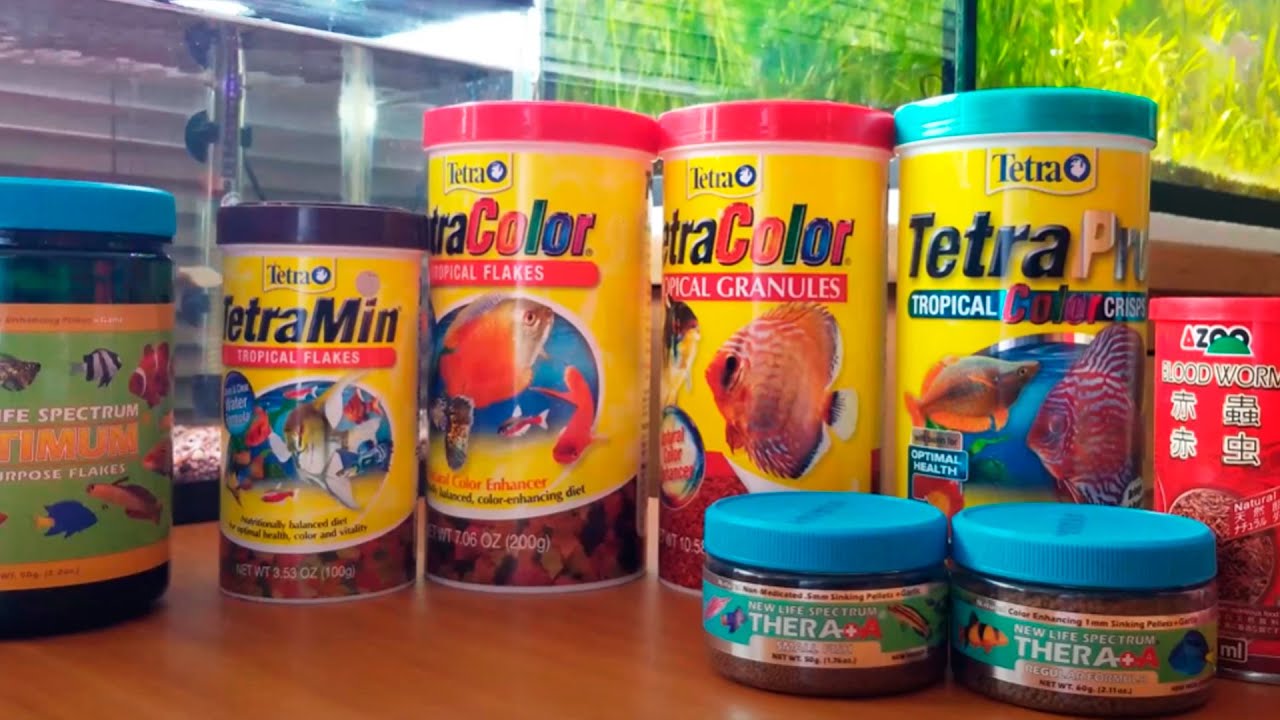 &iexcl;LOS MEJORES ALIMENTOS PARA NUESTROS PECES!