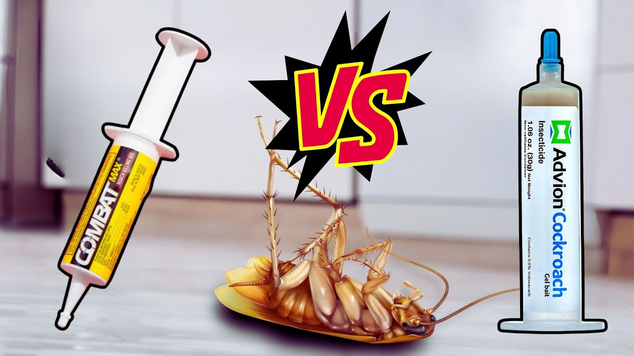 Advion Vs Combat Cockroach Gel Bait: Who Repels The Roaches Fast