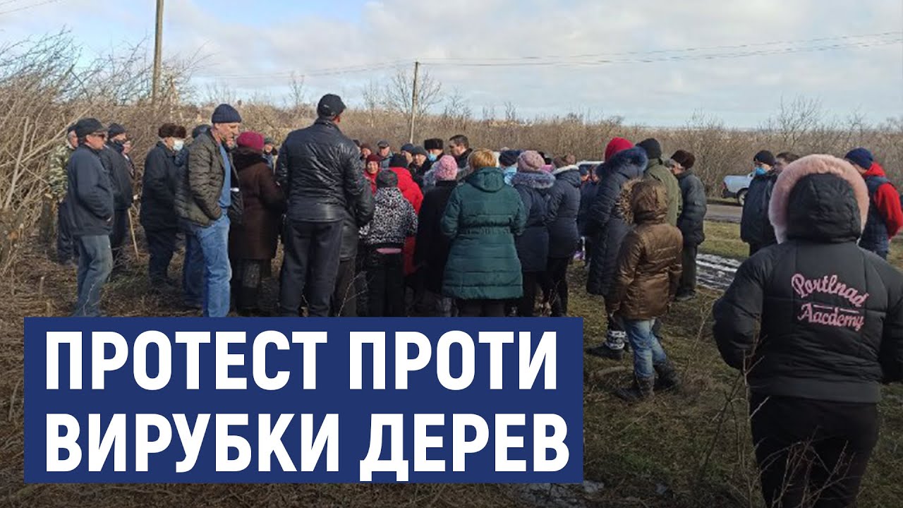 Жителі села Рівне Новоукраїнського району вийшли на протест проти вирубки дерев