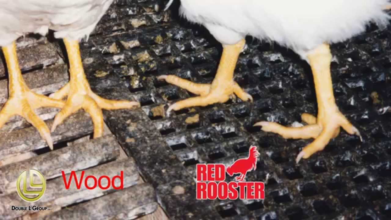 2' x 4' Poultry Plastic Flooring that Optimizes Bird Performance
