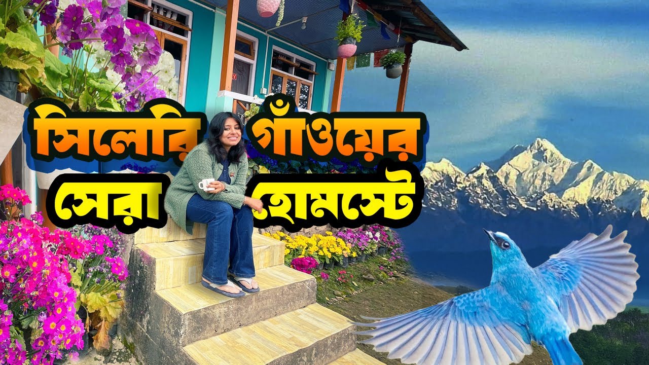 ঘর থেকে কাঞ্চনজঙ্ঘা দেখা যায়  | Sillery Gaon Best Position Homestay | Kalimpong