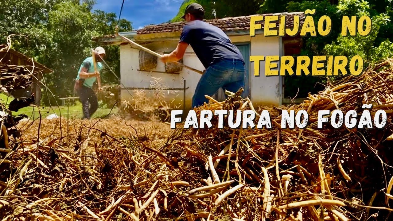 MUTIRÃO EM FAMÍLIA - É TEMPO DE FEIJÃO DAS ÁGUAS - TRADIÇÃO QUE ALIMENTA 