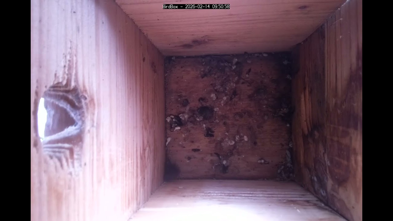 Birdbox - 2026-02-14