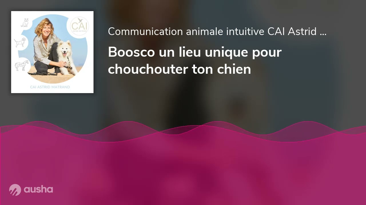 Boosco un lieu unique pour chouchouter ton chien