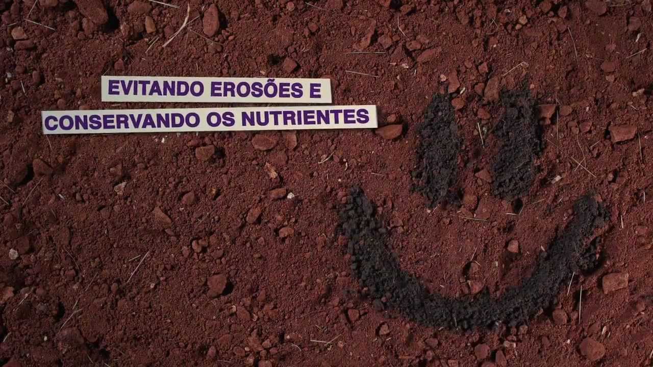 Sistema Plantio Direto