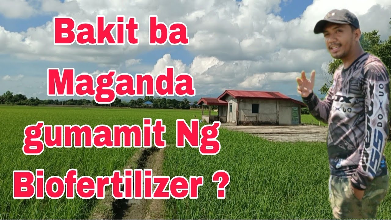 PARA SAAN ANG BIOFERTILIZER ?? | Adaboost Biofertilizer | Vesicular Arbuscular Mychoriza | VAM