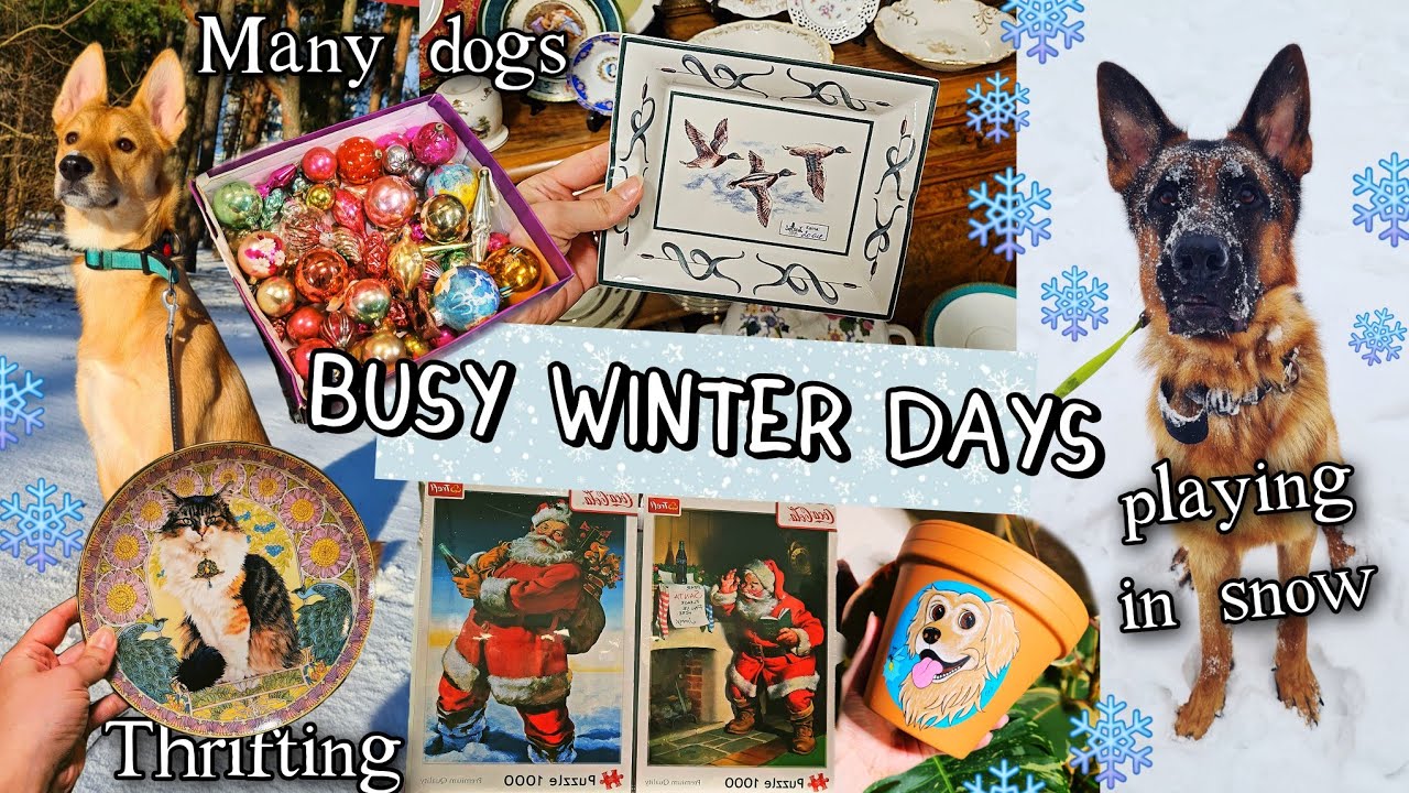 Зимние дни: игры в снегу с собаками ❄️🐕, офисная работа 🗒️ и поиски винтажного праздничного декор...