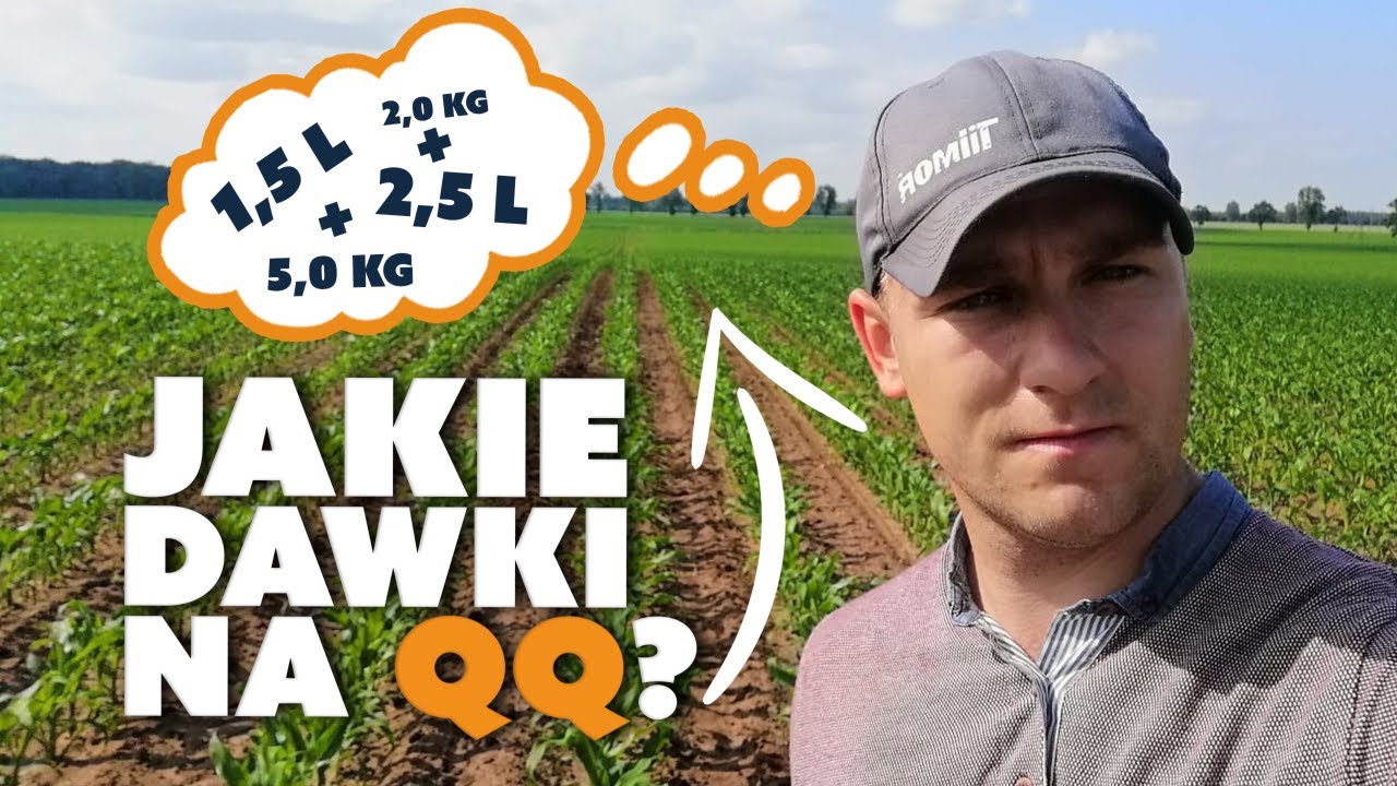 Nawożenie dolistne kukurydzy GROCHOLIN 2019! Czy to się opłaca? Jakie dawki? ☆ TAK TO ROBIĘ vlog #07