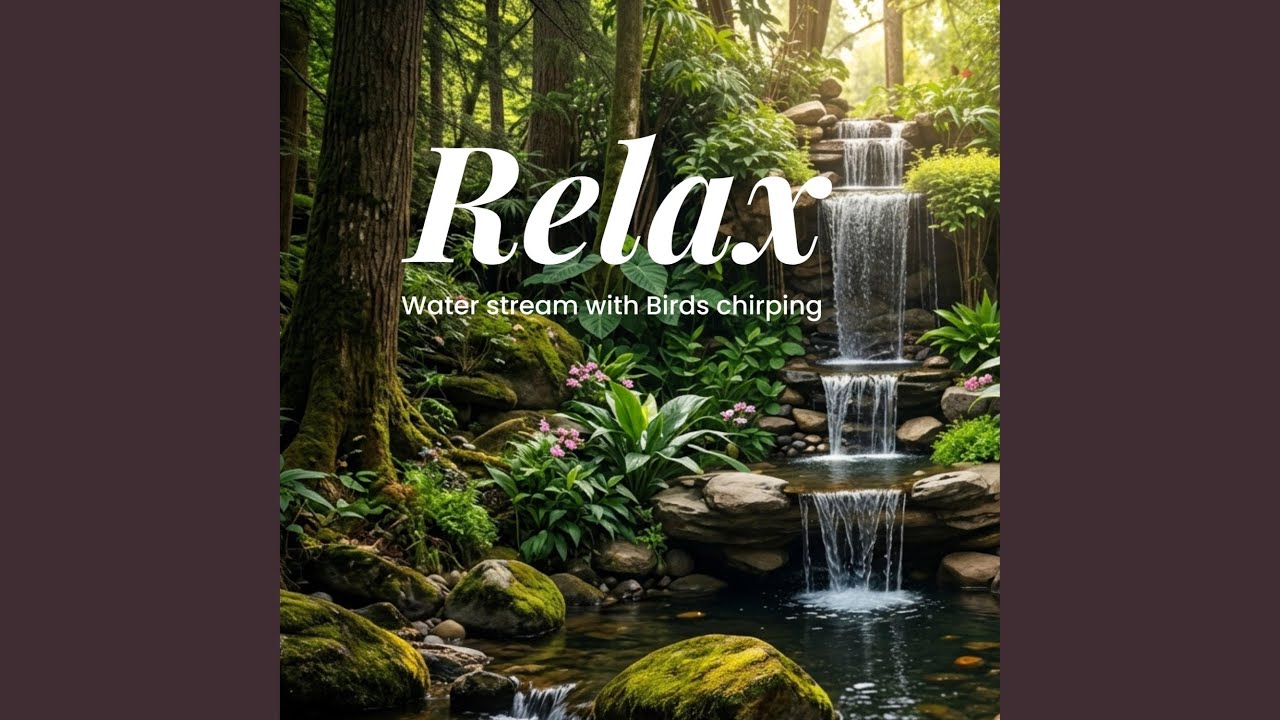 Tranquil Forest Cascade_Relaxing Waterfall & Birds Chirping for Stress Relief