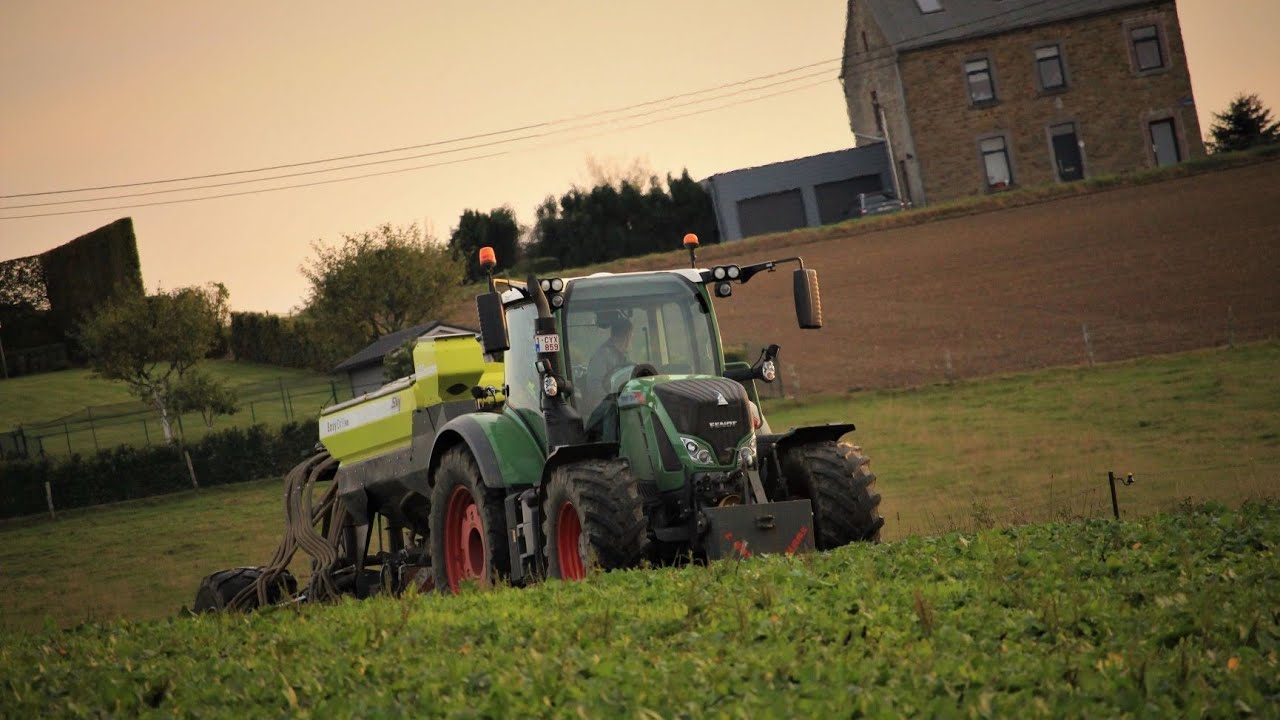 Fendt 724 x Sky EasyDrill HD, Semis direct d'épeautres