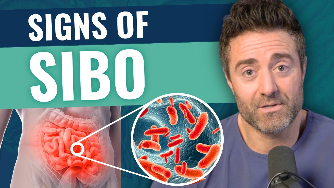 Что такое SIBO? Признаки и методы естественного лечения