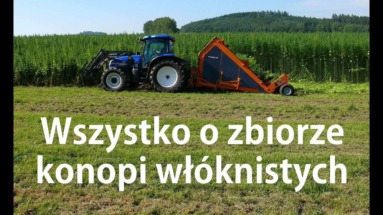 Metody zbioru konopi włóknistych - dr inż. Ryszard Kaniewski