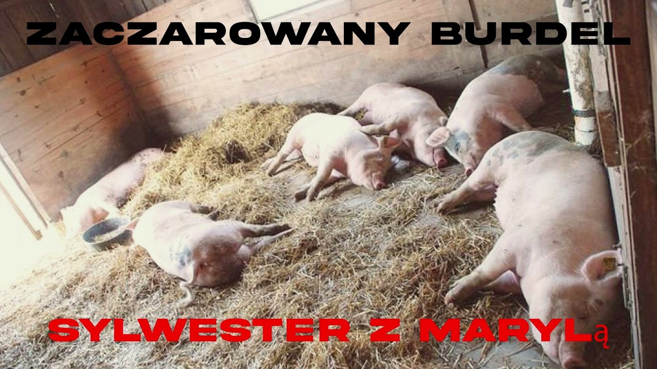 ZACZAROWANY BURDEL - SYLWESTER Z MARYLĄ