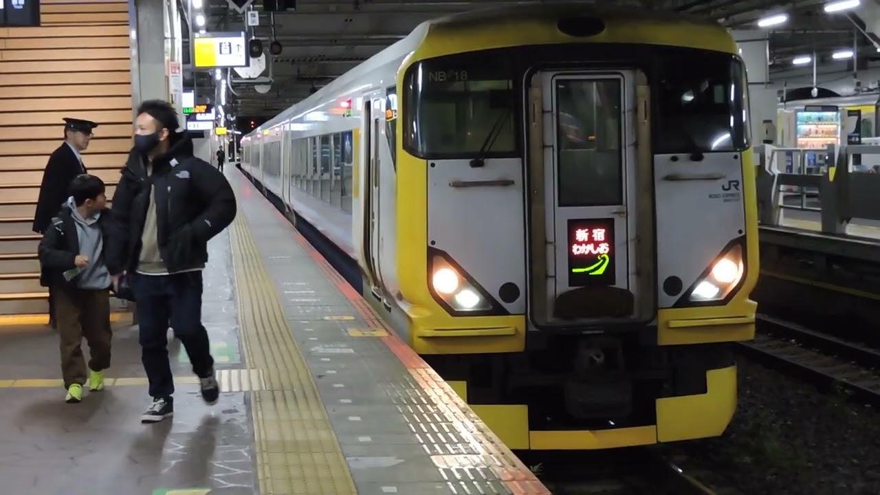 E257系500番台　NB-18編成　臨時特急　新宿わかしお号　千葉駅発着　2026/01/25