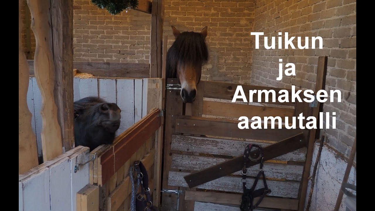 Aamun tallityöt