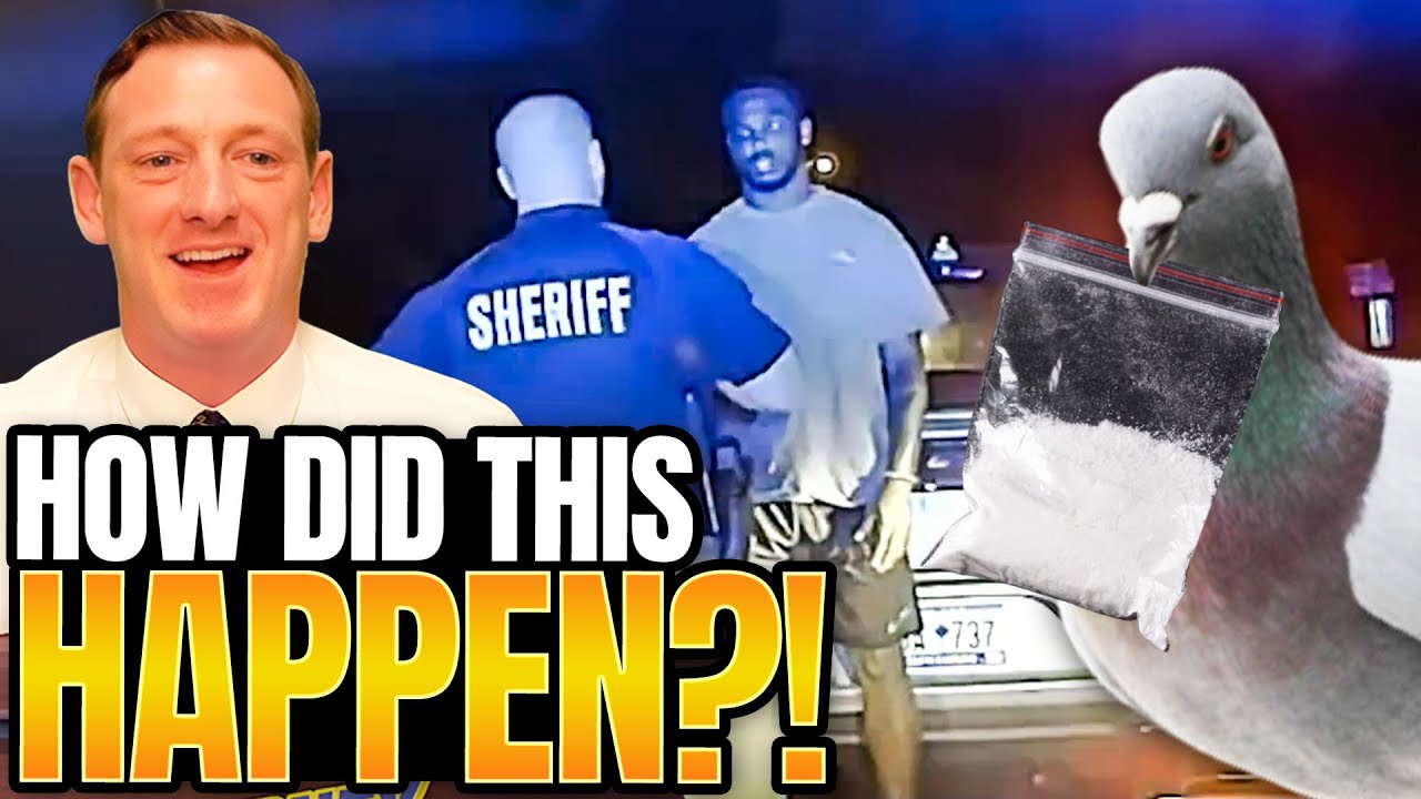 Cops Think Bird Poop Is COKE During Arrest / Real Lawyer Reacts