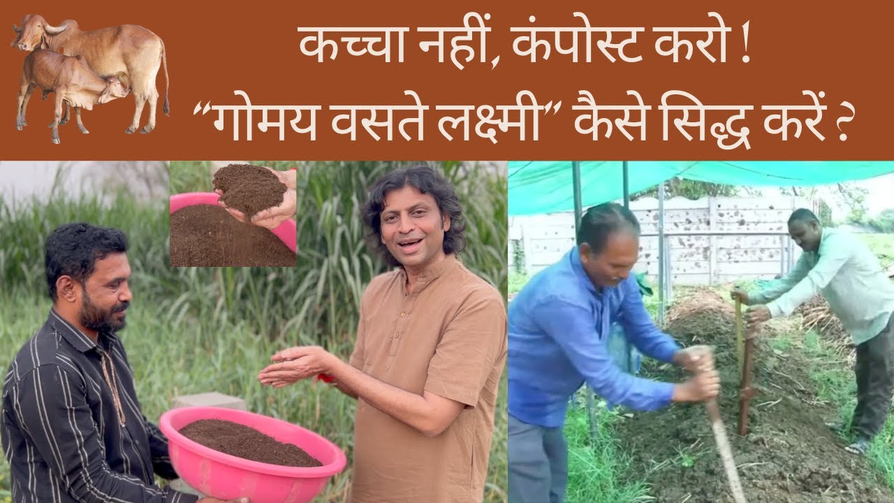 कच्चा नहीं, कंपोस्ट करो ! “गोमय वसते लक्ष्मी” कैसे सिद्ध करें?