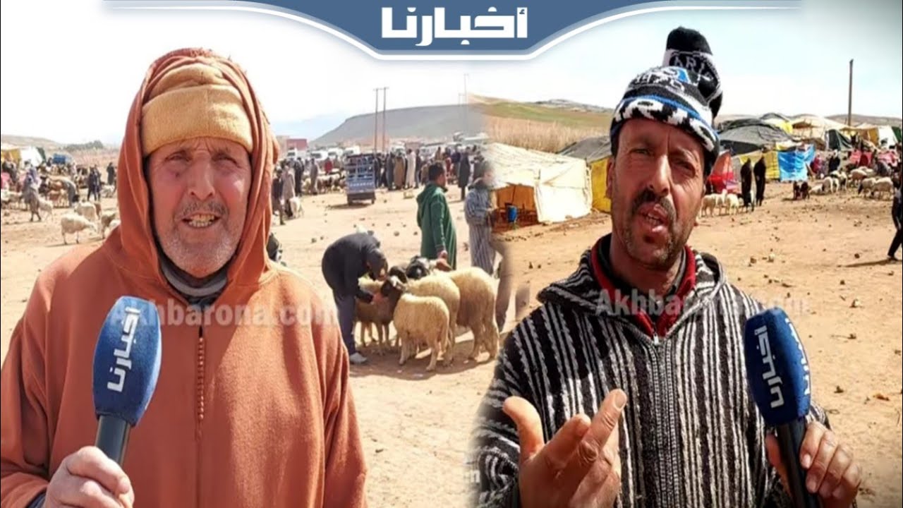 الشناقة في سوق المواشي بميدلت جاتهم السخفة بعد قرار إلغاء شعيرة عيد الأضحى