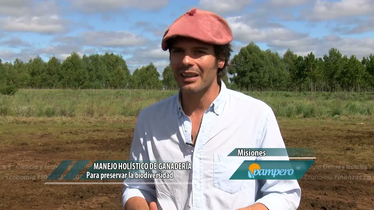 Manejo hol&iacute;stico de la ganader&iacute;a