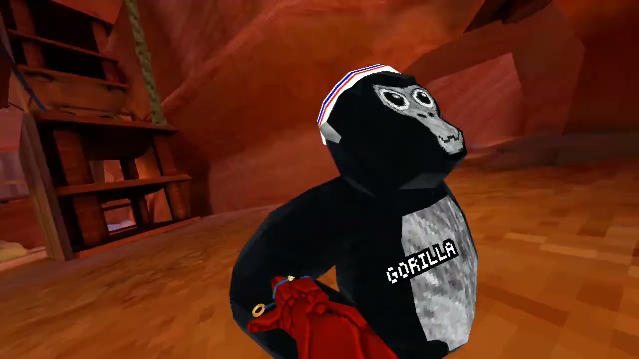 Teaching my friend how to play Gorilla tag