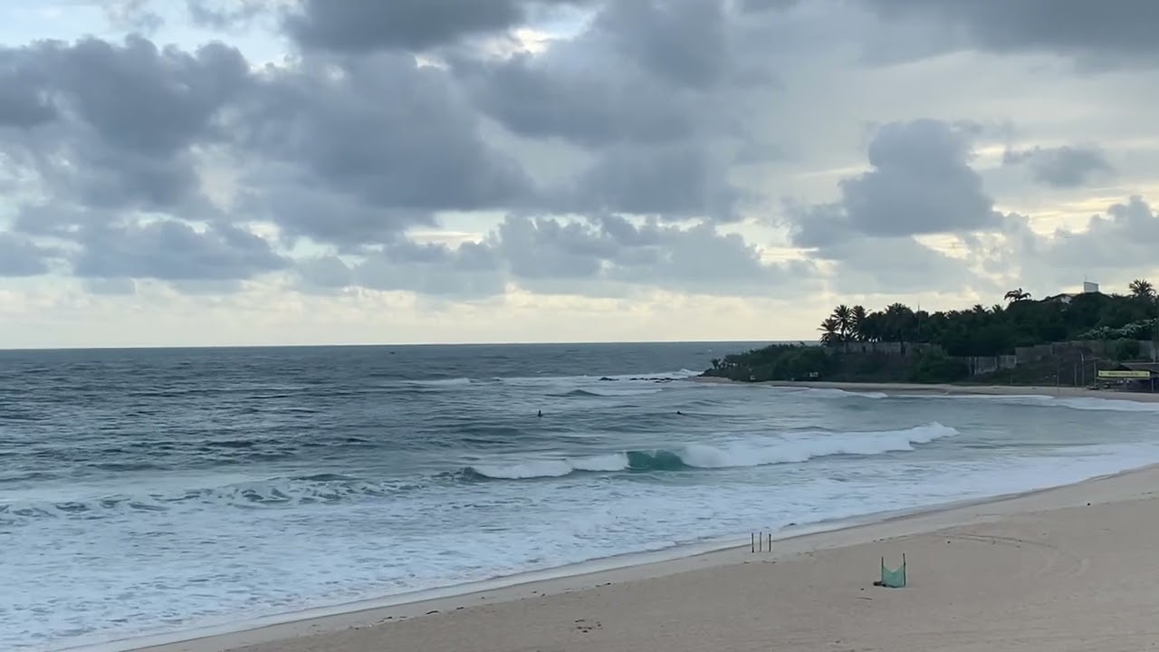 PREVISÃO DIA 04/03/26
