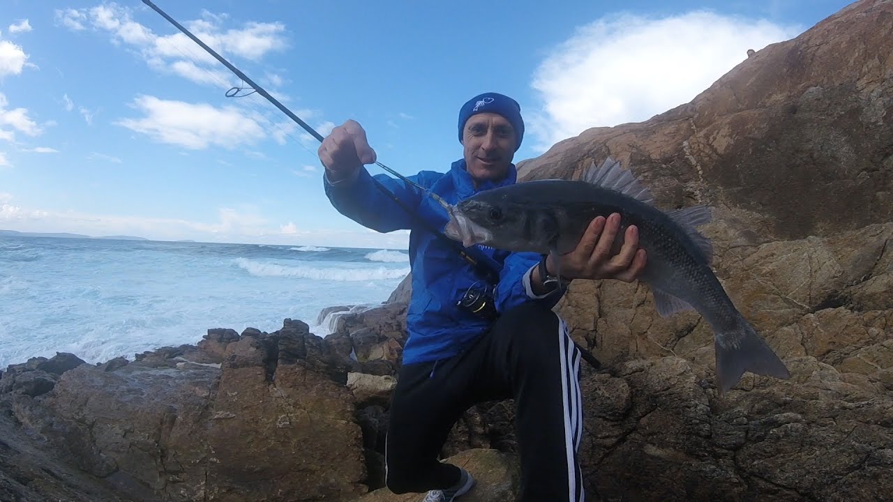 Robalo pescado con 