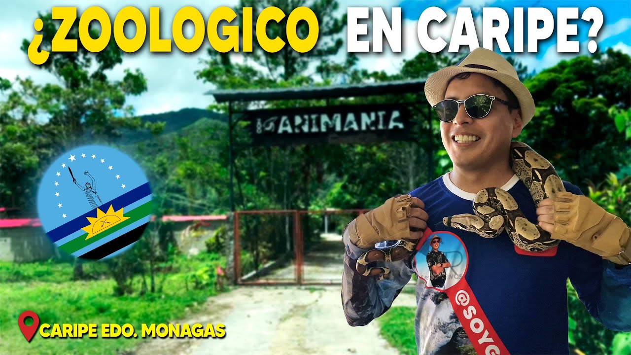 Descubre el Refugio M&aacute;s Incre&iacute;ble de CARIPE 🦔🐍