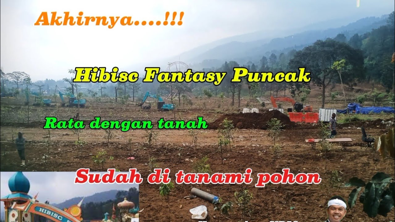 Kondisi terkini hibisc fantasy puncak setelah kebijakan KDM