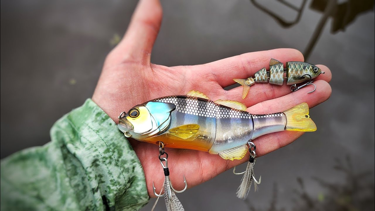 First time Kayak Fishing Jackall Gantarel Jr Swimbait Glidebait for Spring Bass