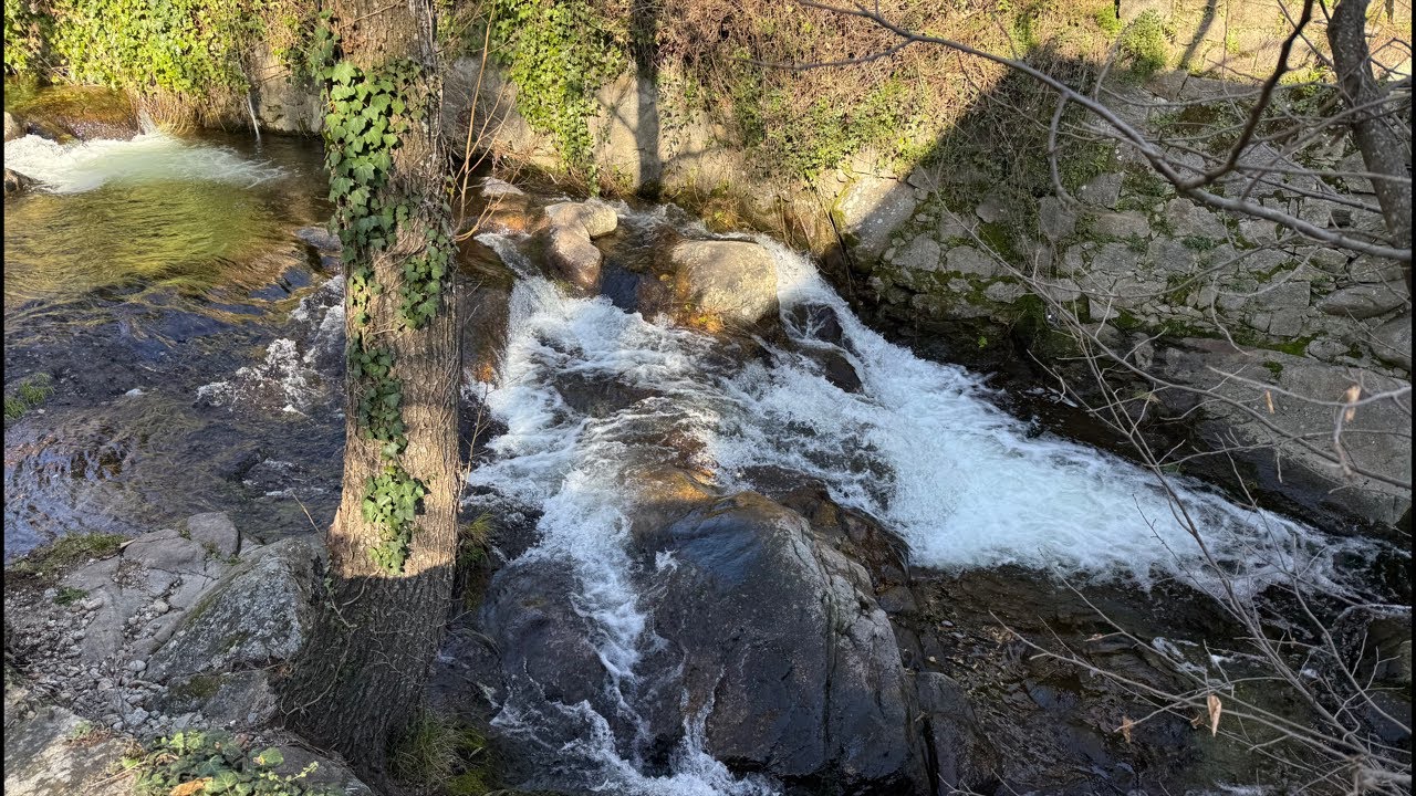 Paseando por Piedralaves Ávila España #directo#envivo