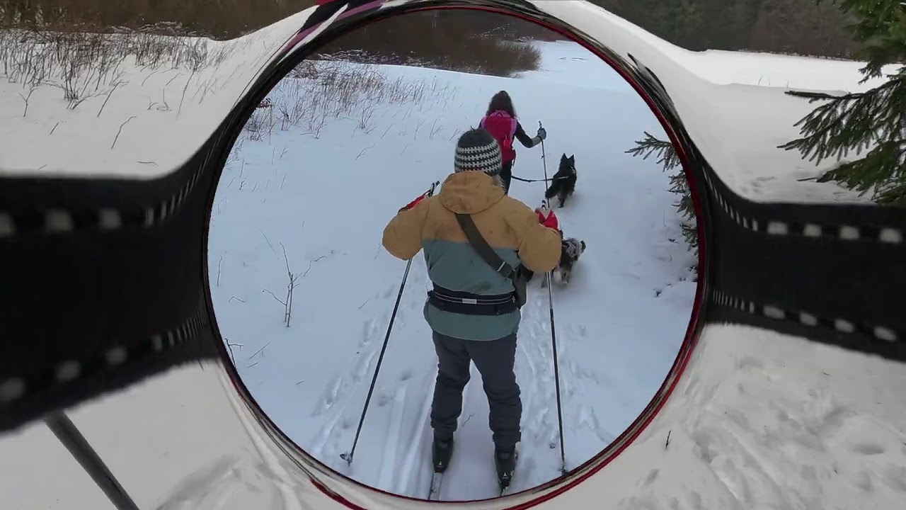 kanukassel-TV: VOGELSBERG bei NASSSCHNEE auf Skiern in Familienharmonie