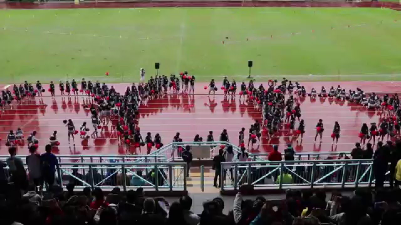 培正中學第69屆陸運會   中六級創社啦啦隊