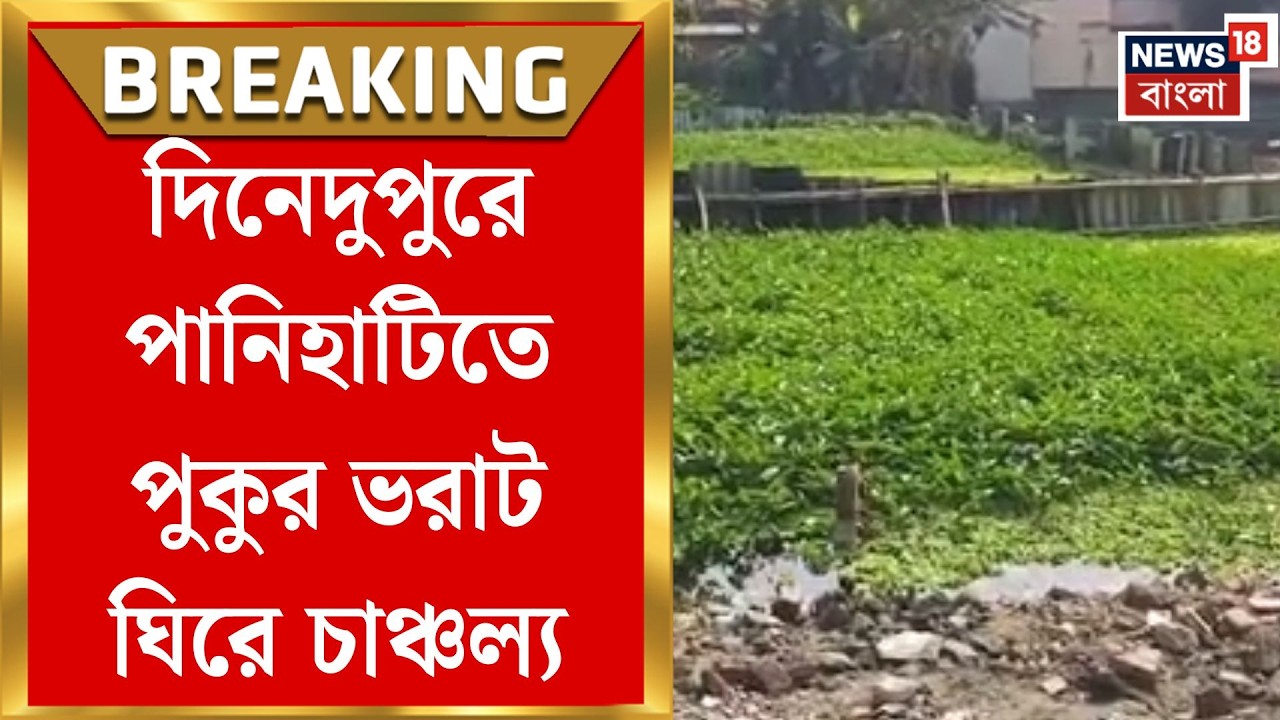 Panihati News | পানিহাটিতে দিনেদুপুরে পুকুর ভরাট! জমি কারবারিদের বিরুদ্ধে অভিযোগ | Bangla News