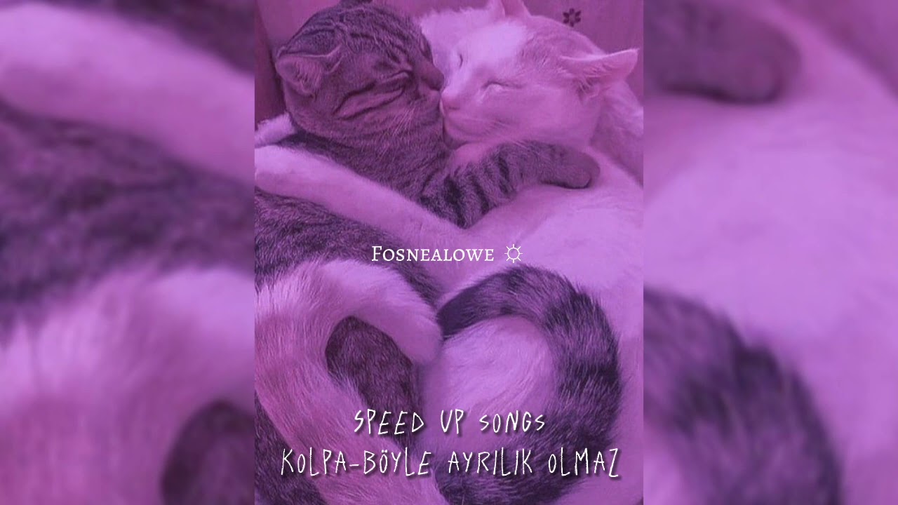 𝖪𝗈𝗅𝗉𝖺-𝖡𝗈̈𝗒𝗅𝖾 𝖺𝗒𝗋ı𝗅ı𝗄 𝗈𝗅𝗆𝖺𝗓 »𝖲𝗉𝖾𝖾𝖽 𝗎𝗉«