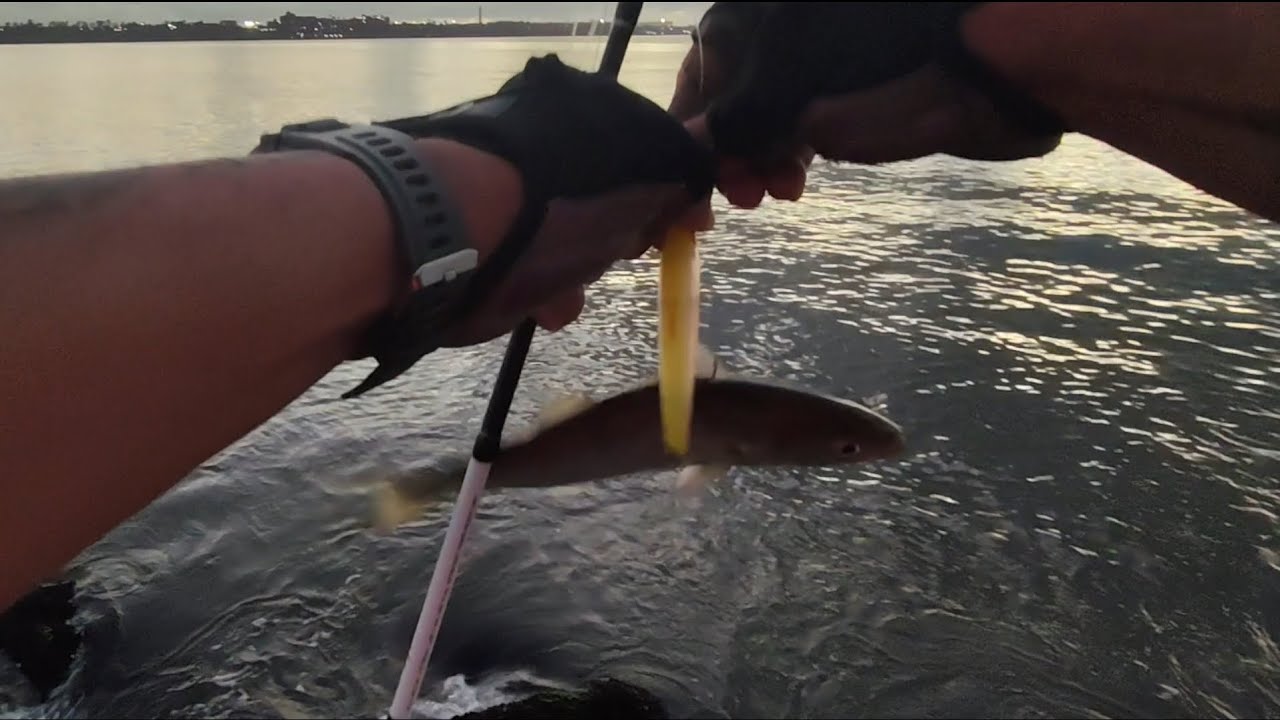 Não acredito que  perdi esse monstro .Light rock Fishing Camburi Vitória ES