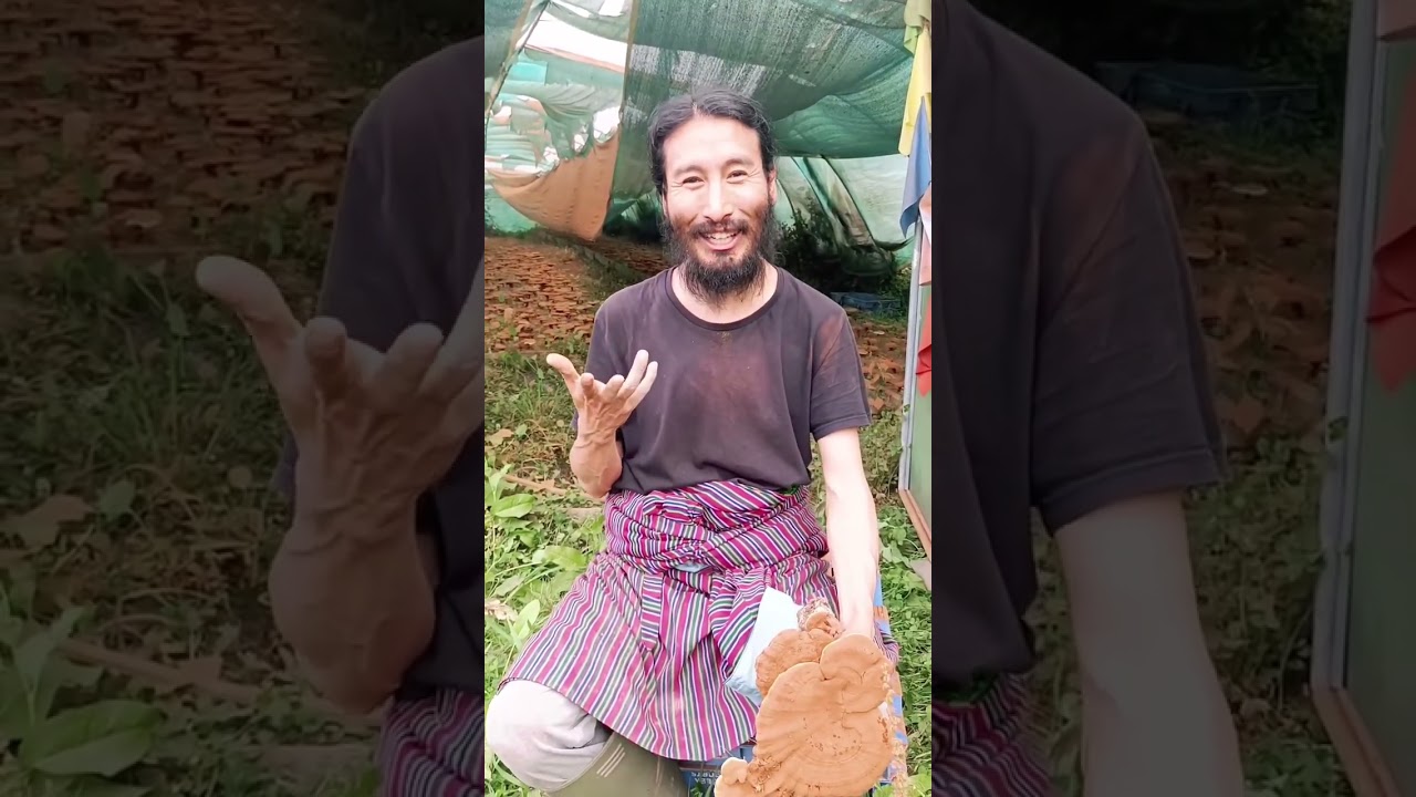 A Farmer and His Daughter Explain about their Mushroom Farm in Bhutan