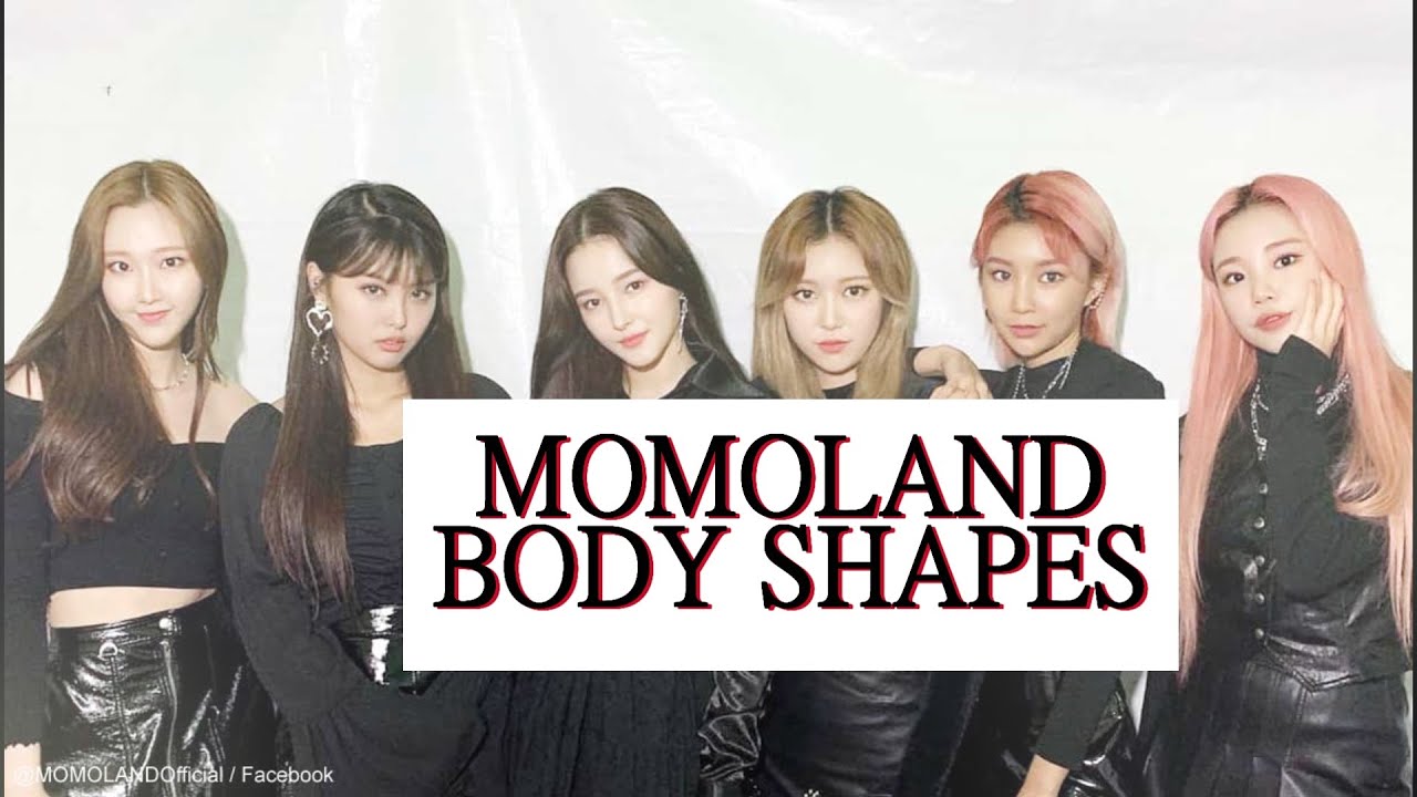 momoland body shapes / body types