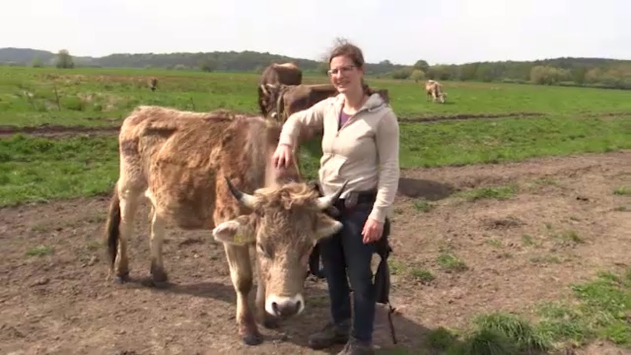 Die Kuhflüsterin aus Stolzenhagen: Anja Hradetzky ist die neue Grüne Gründerin / ODF-TV