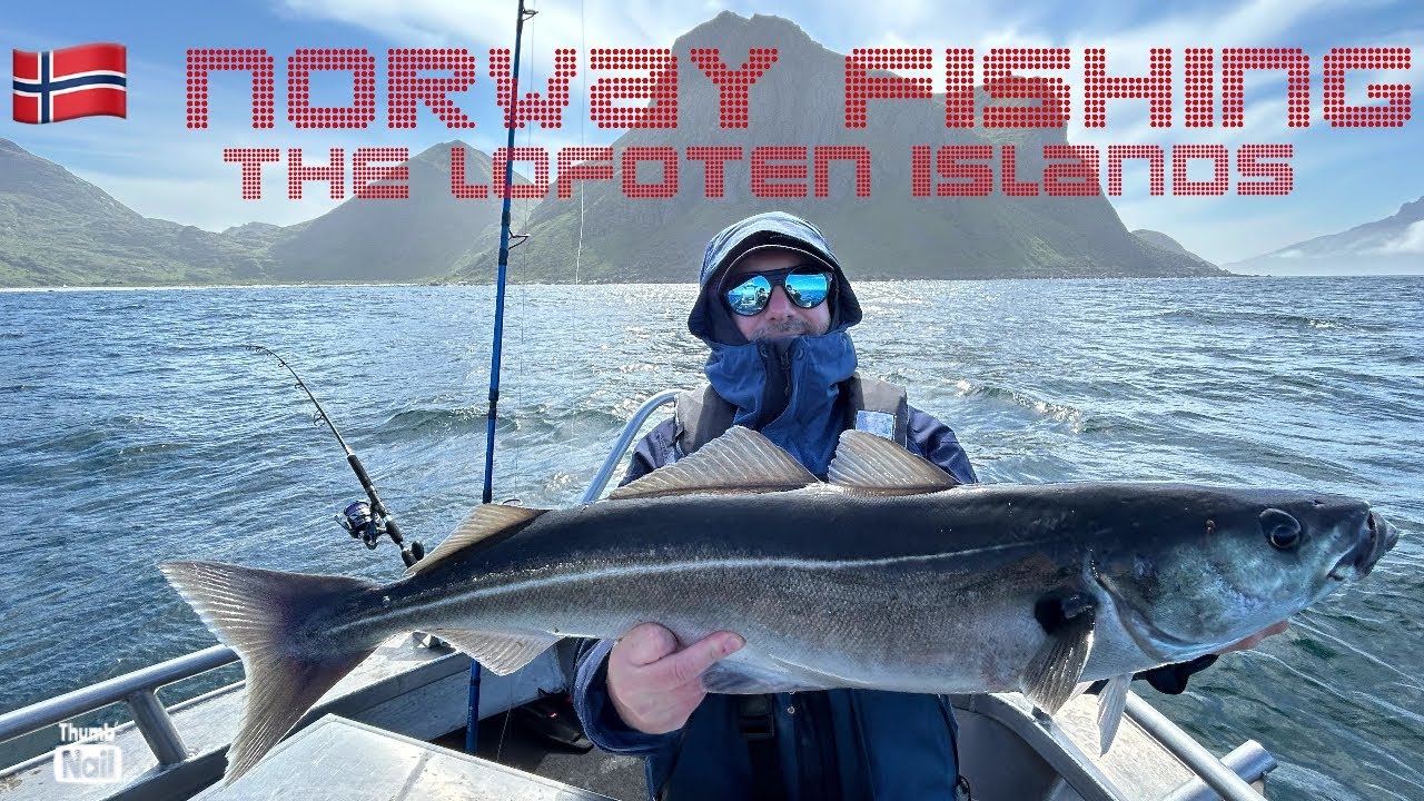 Norway Fishing - The lofoten Islands