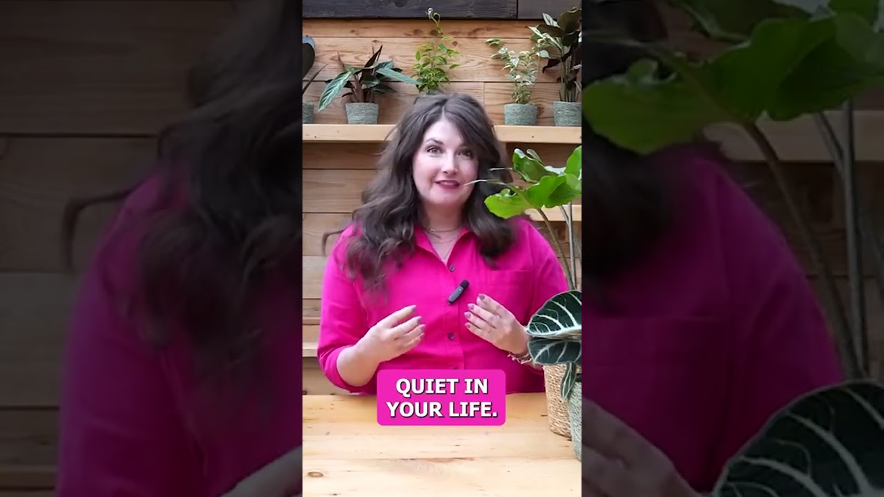 Have you heard of quiescence?😴💤 Quiescence refers to the period of time when your plants go