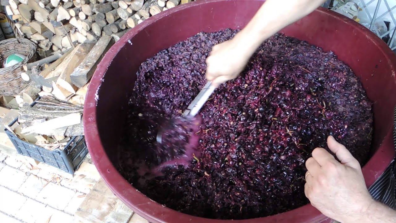 Sorbetto di Mosto di Uva Fragola